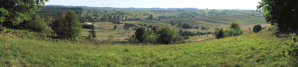 Bukowa_Roztocze_panorama