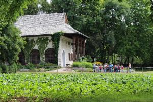 2018 06 26Muzeum Wsi Lubelskiej010