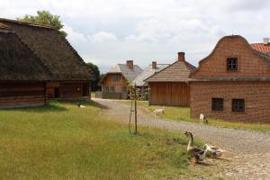 2018 06 26Muzeum Wsi Lubelskiej014