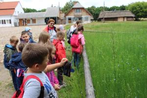 2018 06 26Muzeum Wsi Lubelskiej080