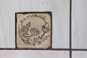 Kraina rumianku 11 lipca - 021 